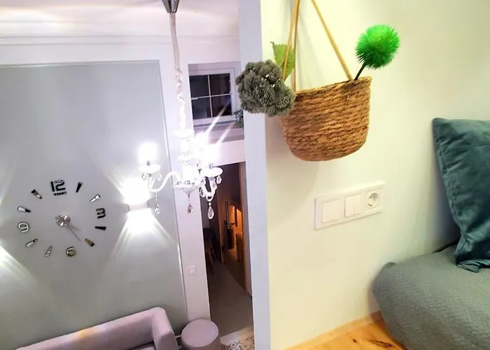 Kookaburra Sauna Your Space For Recovery Lviv